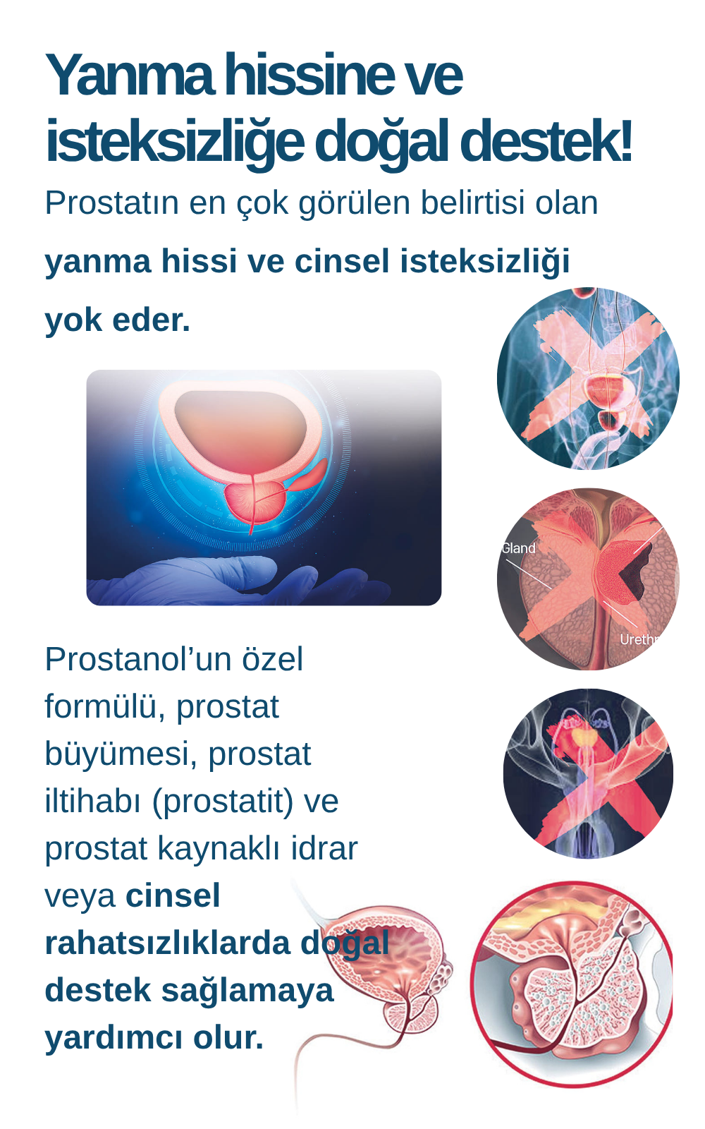 Yanma hissine ve isteksizliğe doğal destek! Prostatın en çok görülen belirtisi olan yanma hissi ve cinsel isteksizliği yok eder. Prostanol’un özel formülü, prostat büyümesi, prostat iltihabı (prostatit) ve prostat kaynaklı idrar veya cinsel rahatsızlıklarda doğal destek sağlamaya yardımcı olur.